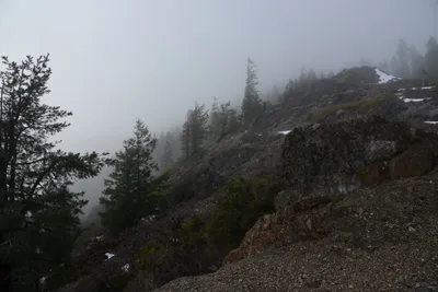 DSC_0864 (Large).JPG